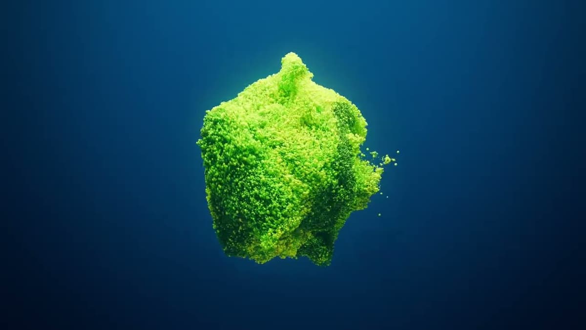 3D Animation Showcase